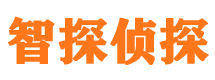 德昌市侦探公司